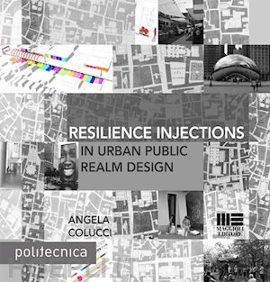 colucci angela - resilience injections in urban public realm design