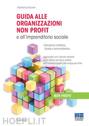 visconti gianfranco - guida alle organizzazioni non profit e all'imprenditoria sociale