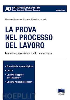 marasca massimo; rinaldi manuela - la prova nel processo del lavoro