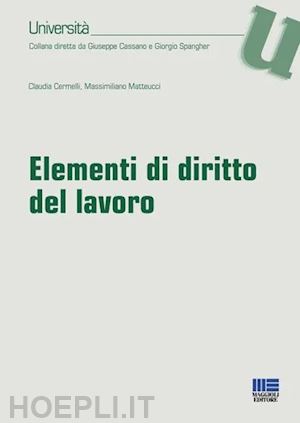 cermelli claudia; matteucci massimiliano - elementi di diritto del lavoro