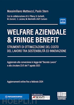 matteucci massimiliano; stern paolo - welfare aziendale & fringe benefit