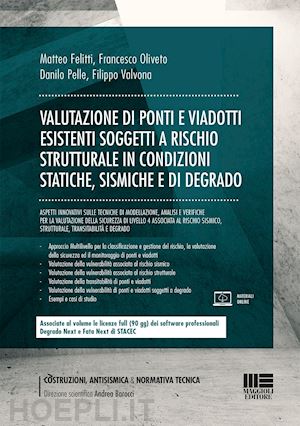 felitti matteo; oliveto francesco; pelle danilo; valvona filippo - valutazione di ponti e viadotti esistenti soggetti a rischi strutturale