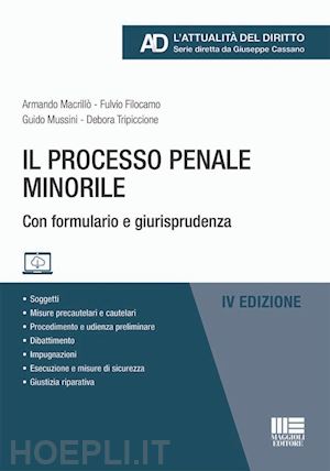 macrillo' armando; filocamo fulvio; mussini guido; tripiccione debora - il processo penale minorile