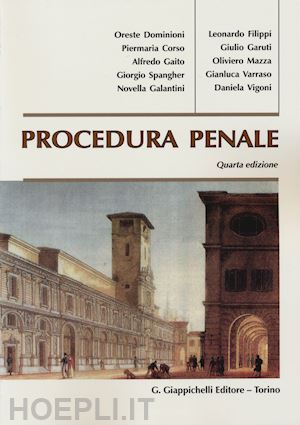  Introduzione al diritto penale internazionale - VALLINI ANTONIO,  AMATI ENRICO, FRONZA EMANUELA, COSTI MATTEO, LOBBA PAOLO, MACULAN ELENA -  Libri