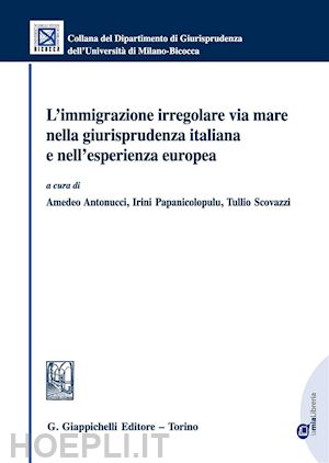 antonucci amedeo; papanicolopulu irini; scovazzi - immigrazione irregolare via mare nella giurisprudenza italiana e nell'esperienza