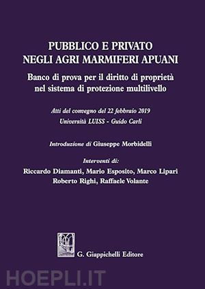 esposito mario; lipari marco; volante raffaele; righi roberto; diamanti riccardo - pubblico e privato agri marmiferi apuani. banco di prova per il diritto di propr