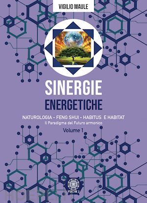 maule vigilio - sinergie energetiche, vol.1 - il paradigma del futuro armonico