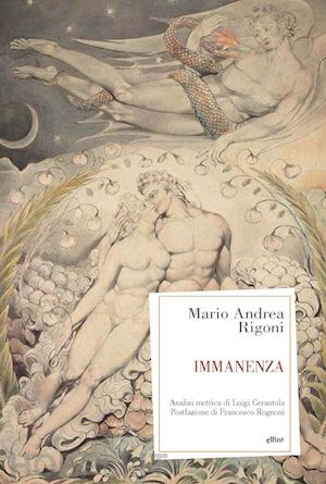 rigoni mario andrea - immanenza