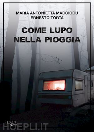 Sarò artefice del mio futuro. Conoscere e scegliere la mediazione familiare  nel conflitto. Consigli pratici per una separazione di buon senso di Maria  Antonietta Catania - 9791221802979 in Diritto per tutti