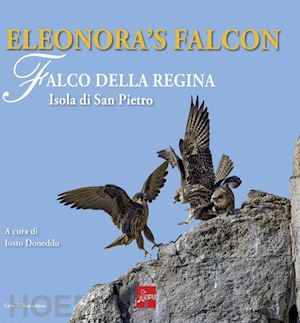  - eleonora's falcon. falco della regina. isola di san pietro. ediz. a colori