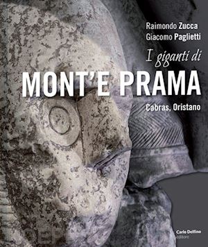 La valutazione della persona con afasia. Principi e strumenti per la  riabilitazione - Rossella Muò, Antonio Schindler, Simona Raimondo