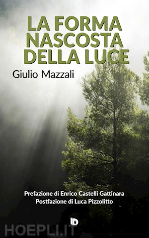 mazzali giulio - la forma nascosta della luce