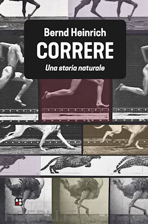 heinrich bernd - correre. una storia naturale