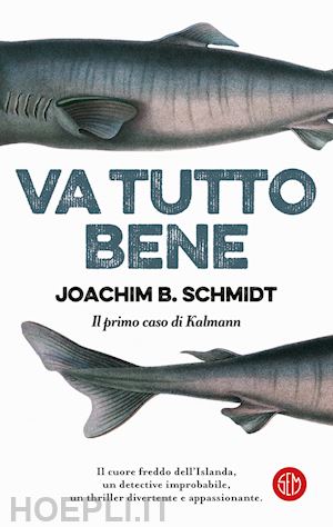 schmidt joachim b. - va tutto bene. il primo caso di kalmann