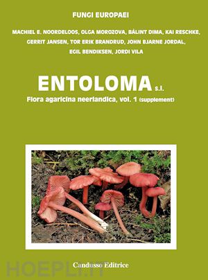 noordeloos machiel (curatore); - entoloma. flora agaricina neerlandica 1 supplement - fungi europaei 5b