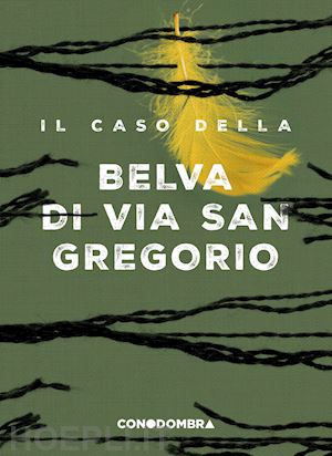 collettivo tralerighe - il caso della belva di via san gregorio