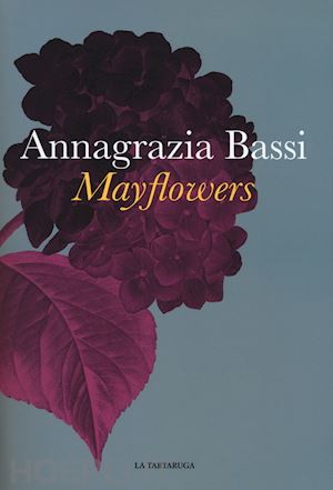 bassi annagrazia - mayflowers