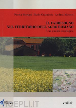 ferrigni nicola; micocci andrea - il fabbisogno nel territorio dell'agroromano. una analisi sociologica