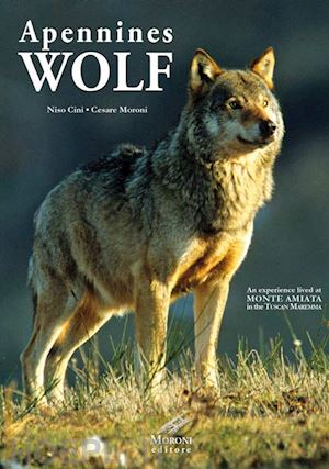 cini niso; moroni cesare - appennines wolf. an experience lived at monte amiata in the tuscan maremma