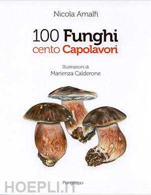 amalfi nicola - 100 funghi cento capolavori