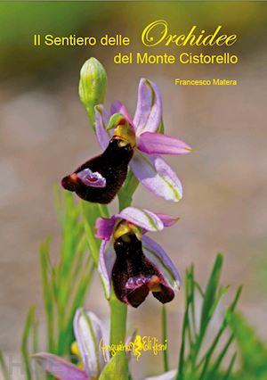 matera francesco - il sentiero delle orchidee del monte cistorello
