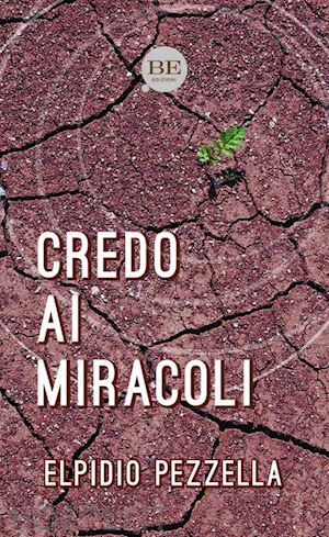 pezzella elpidio - credo ai miracoli