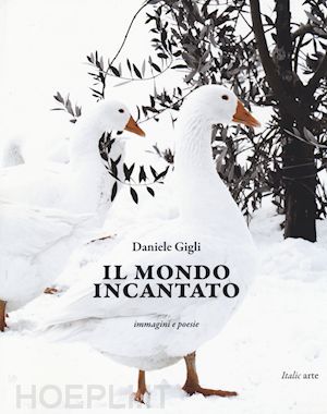 gigli daniele - il mondo incantato. immagini e poesie