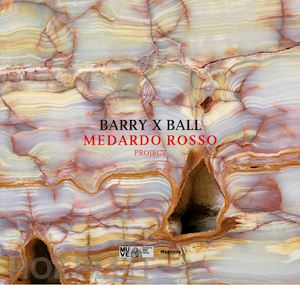 barisoni e. (curatore) - barry x ball. medardo rosso project