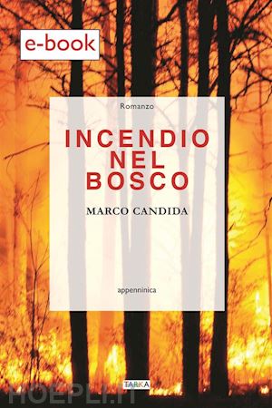 marco candida - incendio nel bosco