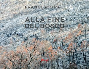 paci francesco - alla fine del bosco