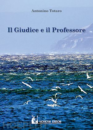 totaro antonino - il giudice e il professore