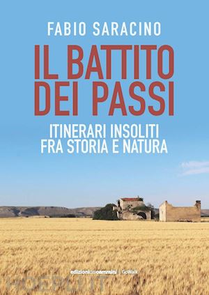 saracino fabio - il battito dei passi. itinerari insoliti fra storia e natura