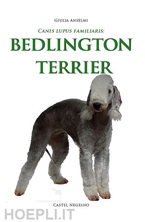 anselmi giulia - bedlington terrier