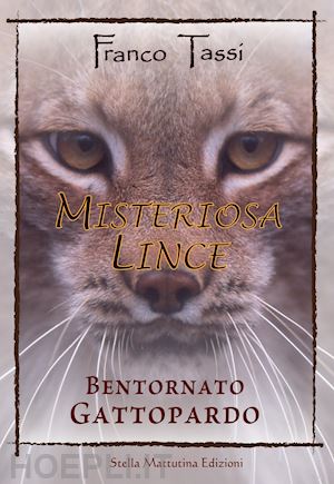 tassi franco - misteriosa lince. bentornato gattopardo