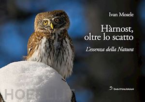 mosele ivan - hàrnost, oltre lo scatto. l'essenza della natura