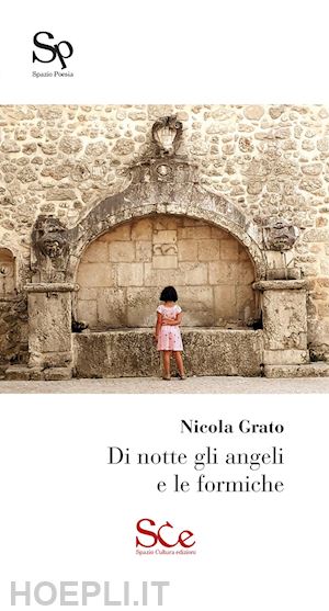 grato nicola - di notte gli angeli e le formiche