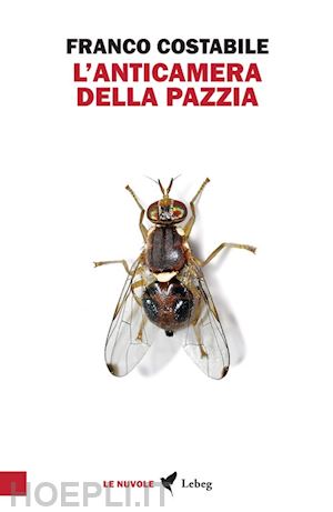 costabile franco - l'anticamera della pazzia. inchieste e articoli pubblicati nel 1962 sul quotidiano «il paese»