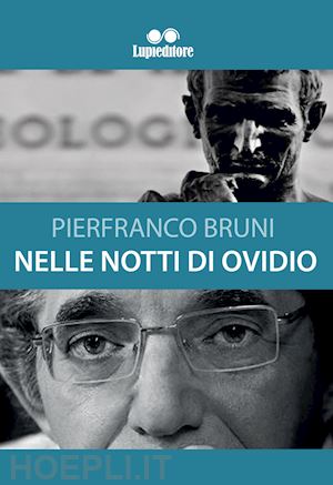 bruni pierfranco - nelle notti di ovidio