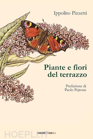 pizzetti ippolito' - piante e fiori del terrazzo