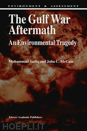 sadiq m.; mccain j.c. - the gulf war aftermath