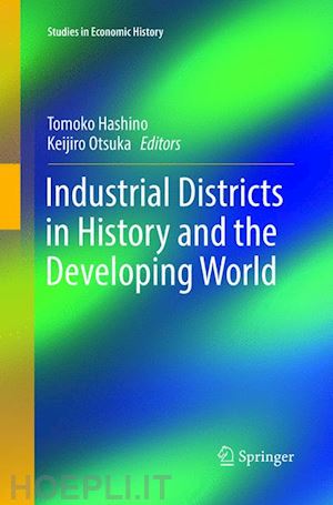 hashino tomoko (curatore); otsuka keijiro (curatore) - industrial districts in history and the developing world
