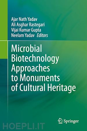 yadav ajar nath (curatore); rastegari ali asghar (curatore); gupta vijai kumar (curatore); yadav neelam (curatore) - microbial biotechnology approaches to monuments of cultural heritage