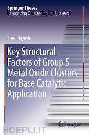 hayashi shun - key structural factors of group 5 metal oxide clusters for base catalytic application