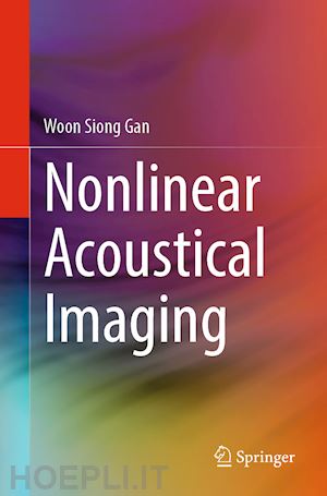 gan woon siong - nonlinear acoustical imaging