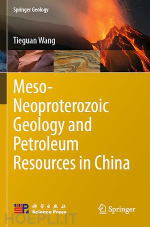 wang tieguan - meso-neoproterozoic geology and petroleum resources in china