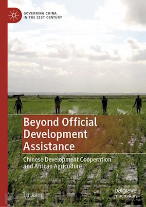 jiang lu - beyond official development assistance