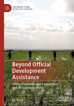 jiang lu - beyond official development assistance