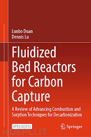 duan lunbo; lu dennis - fluidized bed reactors for carbon capture