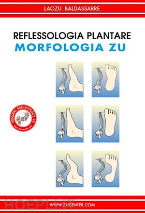 laozu baldassarre - reflessologia plantare - morfologia zu