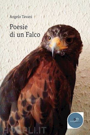 tavani angelo - poesie di un falco